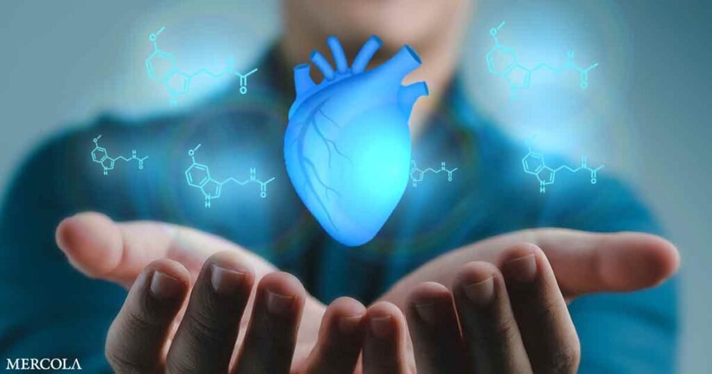Taking Melatonin Does Not Increase Your Risk of Heart Failure