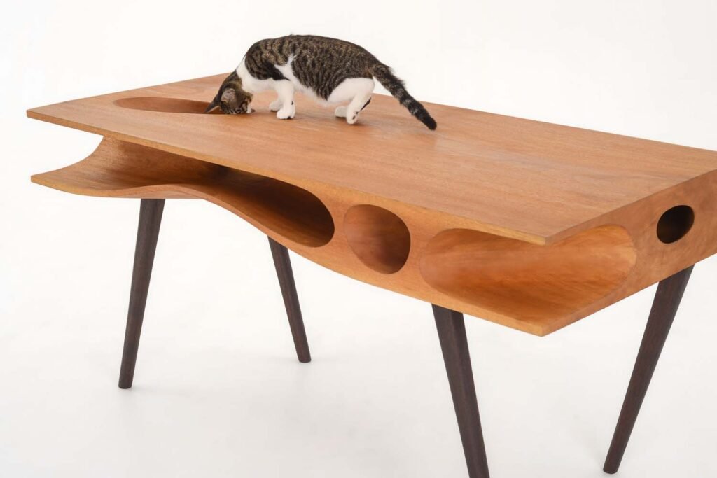 An Ideal Work Station For Cat Owners