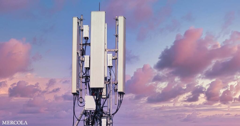 10 Studies Detail Health Risks of 5G